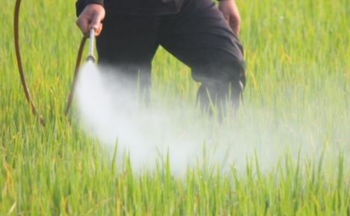 A farmhand sprays pesticides on grass.