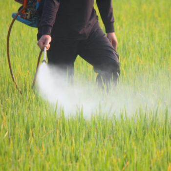 A farmhand sprays pesticides on grass.