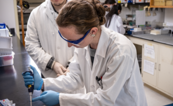 Two scientists conduct an experiment in a lab.