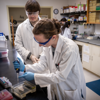 Two scientists conduct an experiment in a lab.