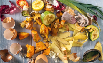 a close up of old food and biological waste.