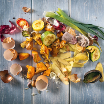 a close up of old food and biological waste.