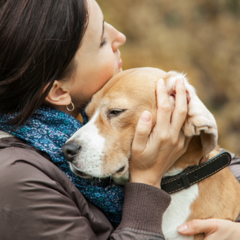 A woman hugs her pet beagle.