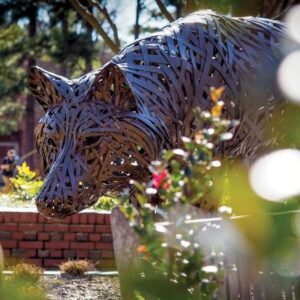 A stylistic picture of the wolf statues on the NCSU campus.