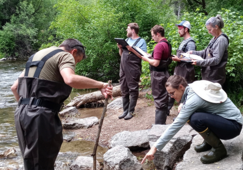 Several people observe a river. Two people closely examine rocks at the shore.